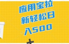 2024应用宝拉新项目，新手小白宝妈直接上手，真正的蓝海项目