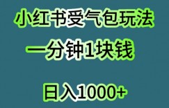 小红书受气包项目，单机操作日入几张