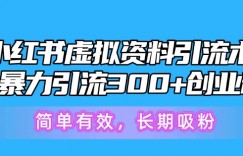 小红书虚拟资料引流术，日暴力引流300+创业粉，简单有效，长期吸粉