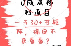 0成本福利项目，单号每天30+，可矩阵操作，赚点零花钱没问题，确定不看看