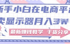 新手小白如何做到在电商平台卖显示器，最新赚钱教学干货分享