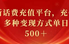 最新花费充值平台，充值88折，多种变现方式单日收益几张