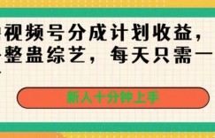 撸视频号分成计划收益，国外整蛊综艺，每天只需一小时，新人十分钟上手