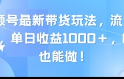 视频号最新带货玩法，流量爆炸，单天就有收益，0粉也能做