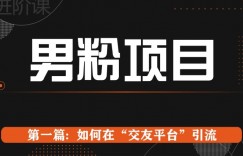 男粉项目系列课程第一篇: Soul暴力引流
