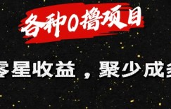 各种0撸项目零星收益，聚少成多