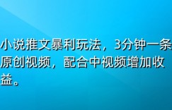小说推文暴利玩法，3分钟一条原创视频，加入中视频计划多一份收益