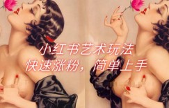 小红书艺术玩法，快速涨粉，简单上手