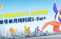 虚拟资料号变现项目，单月单号纯利润1W实操玩法分享