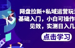 网盘拉新+私域运营玩法，零基础入门，小白可操作，当天见效