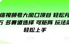 微信视频号大风口项目 轻松月入过万 多赛道选择 可矩阵 玩法简单轻松上手