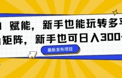 AI 赋能，新手也能玩转多平台矩阵，新手也可日入3张
