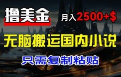 最新撸美金项目：搬运国内小说爽文，只需复制粘贴，月入2k+美金