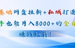 零基础网盘拉新+私域引流：新手也能月入50000+的全自动赚钱秘籍!