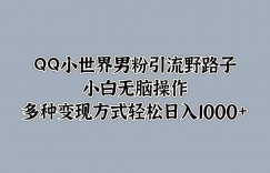 QQ小世界男粉引流野路子，小白无脑操作，多种变现方式