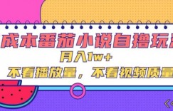 零成本番茄小说自撸玩法，不看播放量，不看视频质量