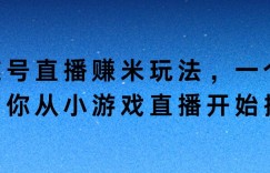 蝴蝶号直播赚米玩法，一个视频带你从小游戏直播开始搞钱