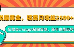 小说赚美金，稿费月收益2.5k美金，仅需会chatgpt粘贴复制，新手也能玩转