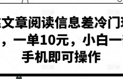 靠文章阅读信息差冷门玩法，一单10元，小白一部手机即可操作