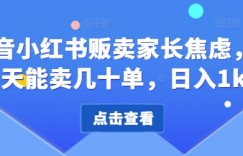 抖音小红书贩卖家长焦虑，一天能卖几十单，日入1k