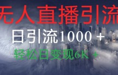 抖音快手视频号全平台无人直播引流1000+精准创业粉玩法拆解