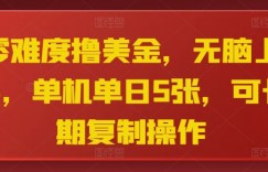 零难度撸美金，无脑上手，单机单日5张，可长期复制操作