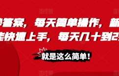 照抄答案，每天简单操作，新手也能快速上手，每天几十到2张