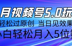 11月最新视频号5.0玩法，轻松过原创，当日见效果，小白轻松月入5位数