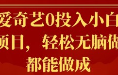 爱奇艺0投入小白项目，轻松无脑做都能做成