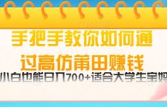 手把手教你如何通过莆田鞋挣钱，小白也能日几张，适会大学生宝妈