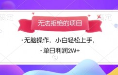 无法拒绝的项目，无脑操作，小白轻松上手，单日利润多张