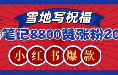一条笔记8800+赞，涨粉2000+，火爆小红书雪地写祝福玩法