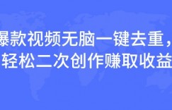 爆款视频无脑一键去重，轻松二次创作赚取收益