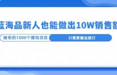 这个蓝海品，新号也能卖出10W的销售额，年底疯狂怼量就能出结果