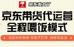 京东带货代运营全程喂饭模式，告别年终焦虑 年底不打烊 持续现金流+