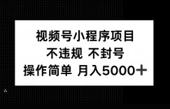 视频号小程序项目，不违规不封号，操作简单 月入5000+
