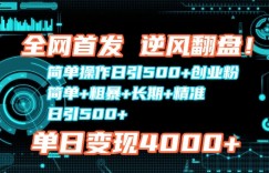 全网首发，简单操作日引500+创业粉，简单+粗暴+长期+精准