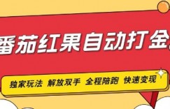 番茄红果独家玩法，单机50-100，可矩阵放大操作轻松，小白轻松上手!