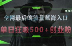 全网最后的流量蓝海入口，半小时引流50+创业粉，单日狂吸500+创业粉