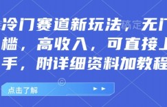 冷门赛道新玩法，无门槛，高收入，可直接上手，附详细资料加教程