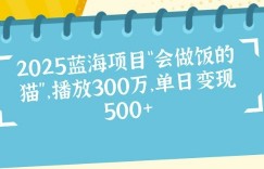 2025蓝海项目“会做饭的猫”，播放300万，单日变现多张