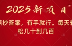 照抄答案，有手就行，每天几十到几百不等