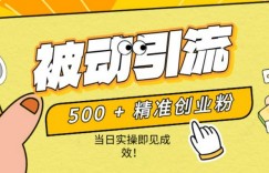 500+精准创业粉，零剪辑、零复杂起号，话术撬动被动引流，当日实操即见成效！