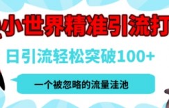 QQ私域引流平台，流量年轻且巨大，实操单日引流100+创业粉，月精准变现1W+