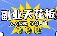 副业天花板0成本做网络，小白轻松上手