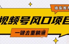 视频号风口蓝海项目，中老年人的流量密码，简单无脑，一键去重，轻松月入过W