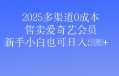 2025多渠道0成本售卖爱奇艺会员，新手小白也可日入多张