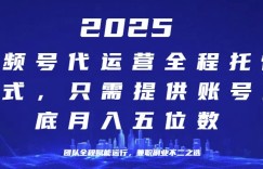 25年视频号全程代运营模式，只需提供账号，团队全程赋能，稳定月入过W【揭秘】