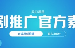 风口项目，短剧推广，官方资源，必过原创剪辑，日入3张