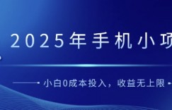 2025年手机小项目，简单易学，小白0成本投入，多劳多得